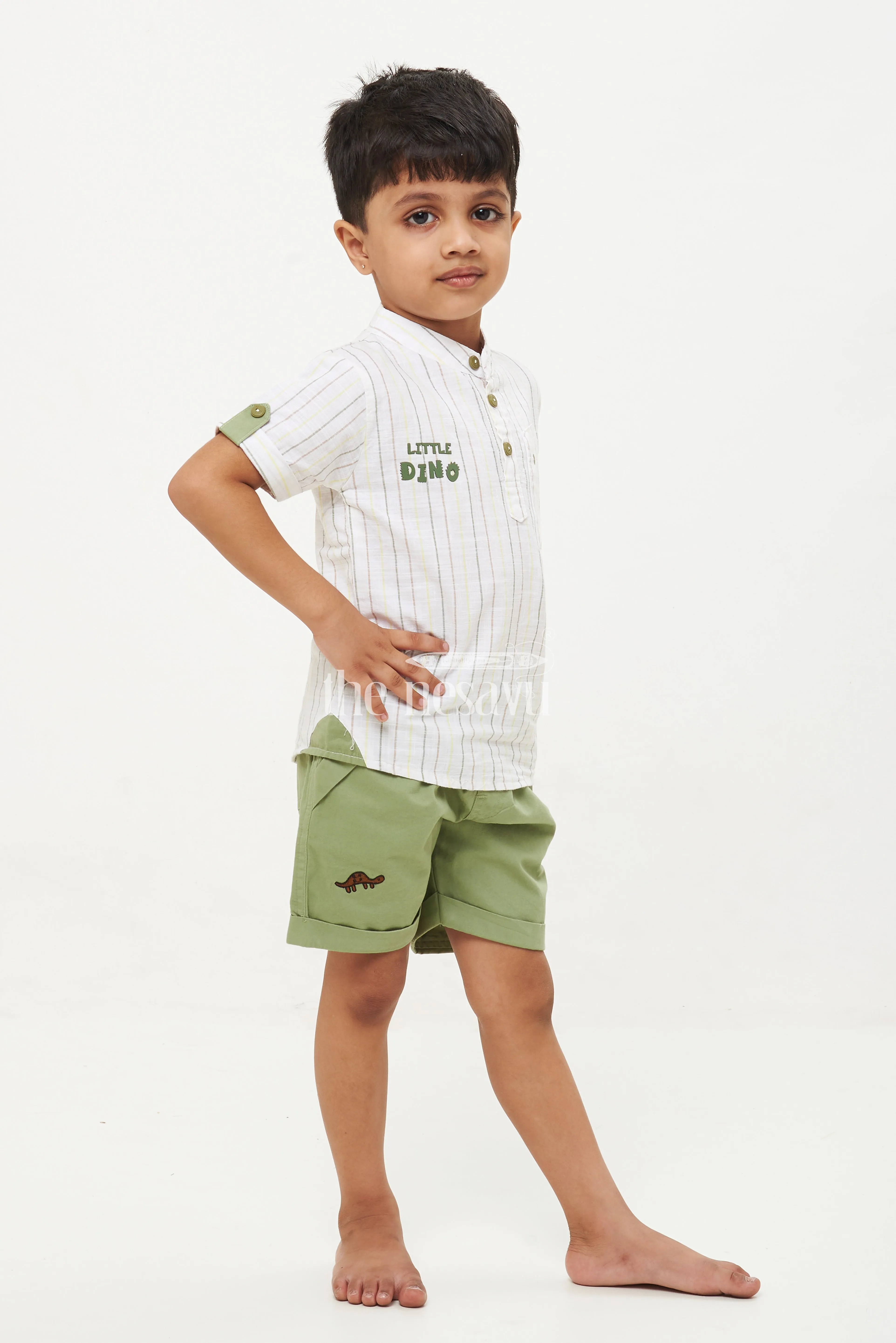 Boys' Dino Striped Shirt & Shorts Set - Green/White