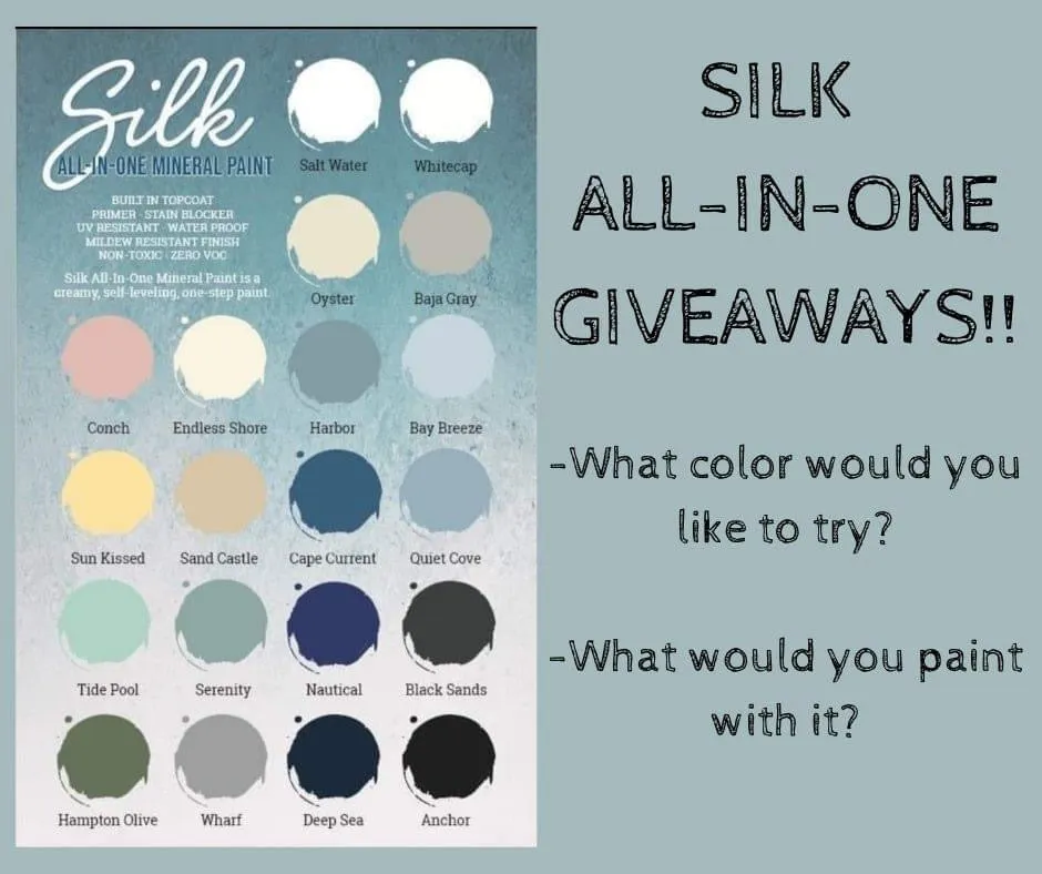 Endless Shore - Silk Collection - Dixie Belle Paint Company